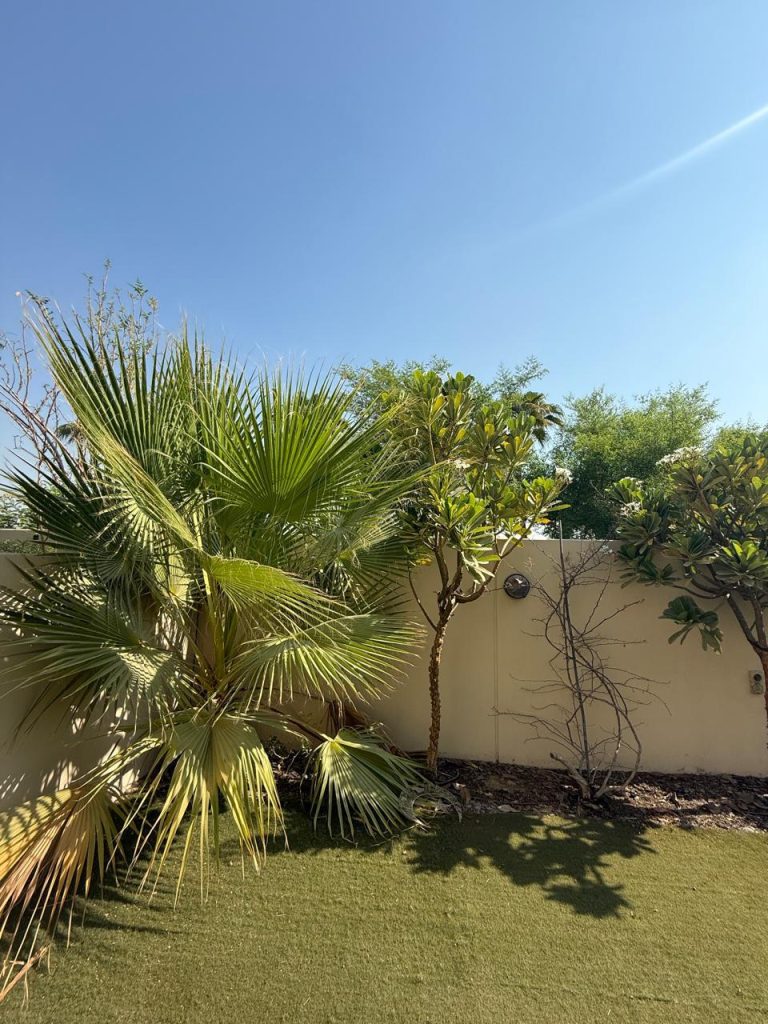 WhatsApp Image 2025-11-25 at 11.29.18 PM (1)