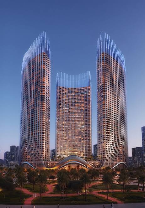 WhatsApp Image 2025-11-27 at 01.13.40